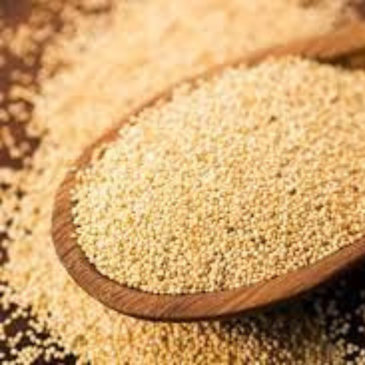 SETHJI Premium Natural Fresh KHASKHAS