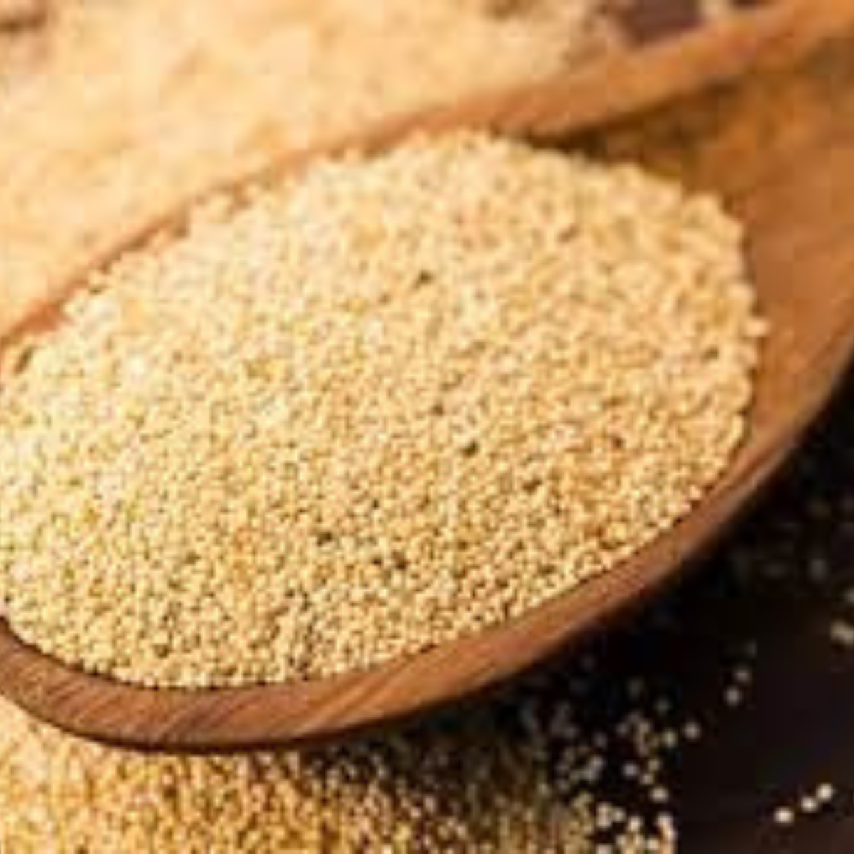 Sethji Premium Natural Fresh Khaskhas