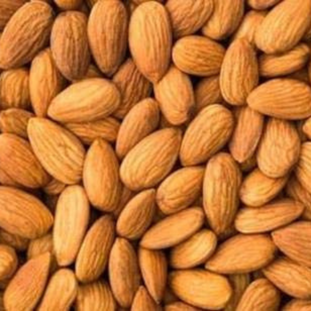 SETHJI 100% Natural Premium California Almonds 250g Jar Pack