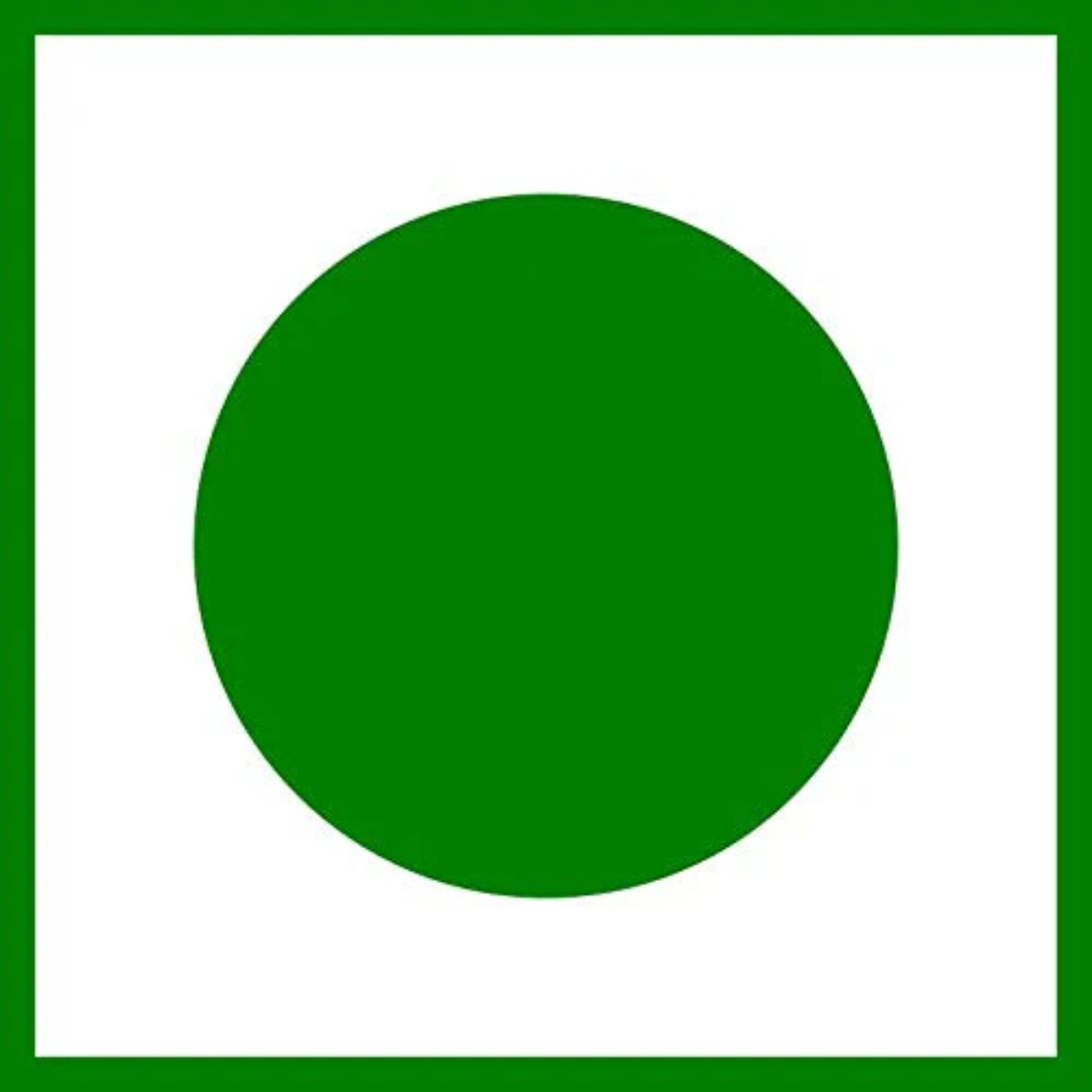 Sethji Honey Dryfruits Natural and Pure Honey Mixed