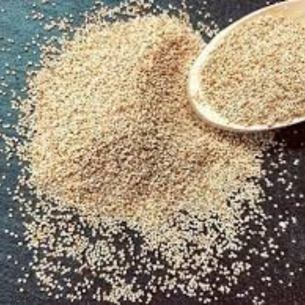 Sethji Premium Natural Fresh Khaskhas