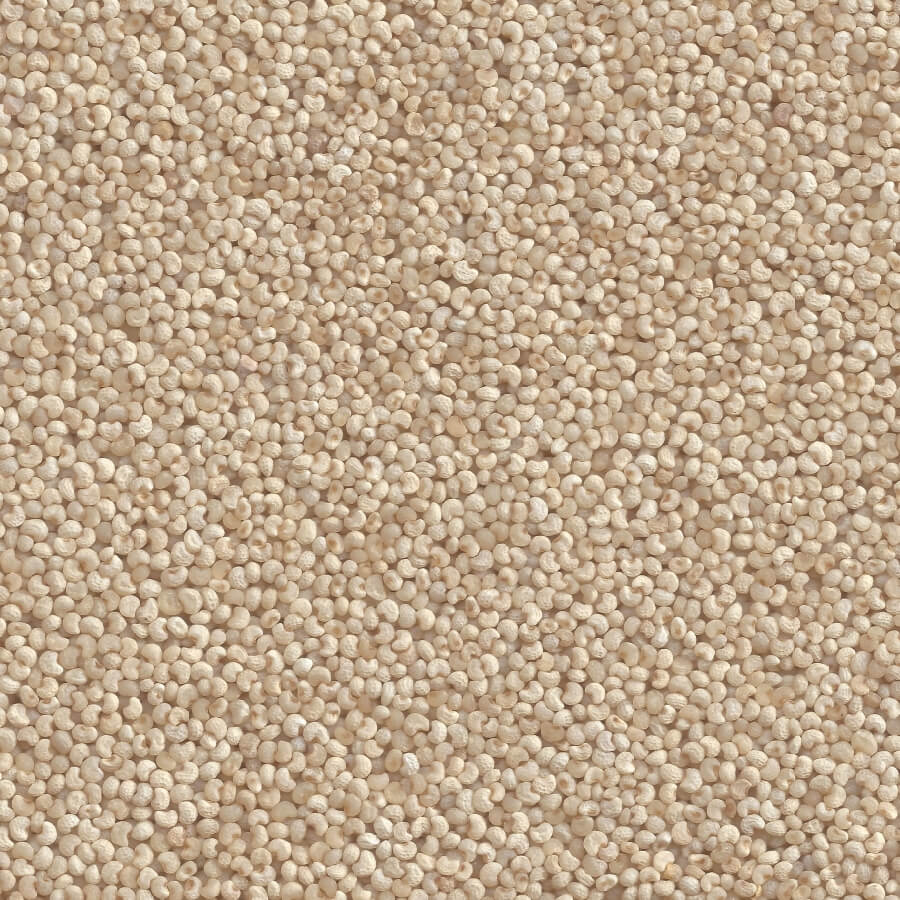 SETHJI Khaskhas, Poppy Seeds (Postu), Posta Dana - 100% pure